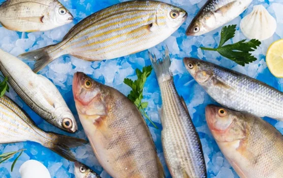 Ikan Laut vs Telur Kampung: Pilih Sumber Omega-3 yang Paling Masuk Akal