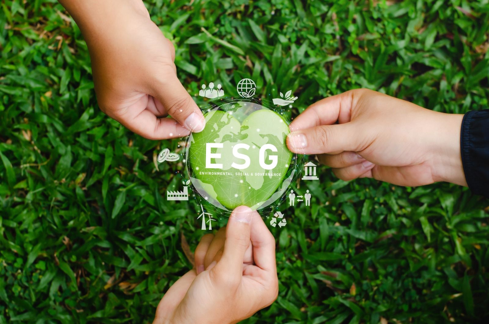Reformasi Pasar Karbon Mengubah Strategi ESG Korporasi