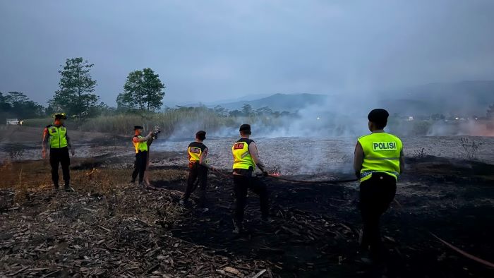 Kebakaran Gudang Kayu: Risiko Tersembunyi dan Cara Mencegahnya