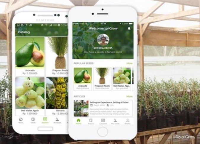 Pendanaan Lender Asing ke Fintech Lending Melonjak, Risiko Kredit Menggunung