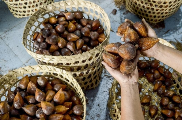 Lonjakan Ekspor Salak dan Durian ke Pasar China