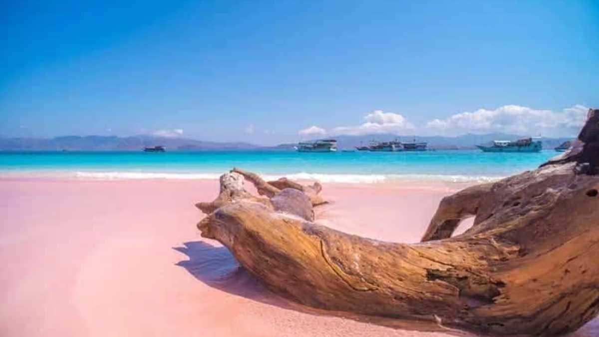 Destinasi Fotografi Viral: Dari Pink Beach hingga Indomaret Lembang