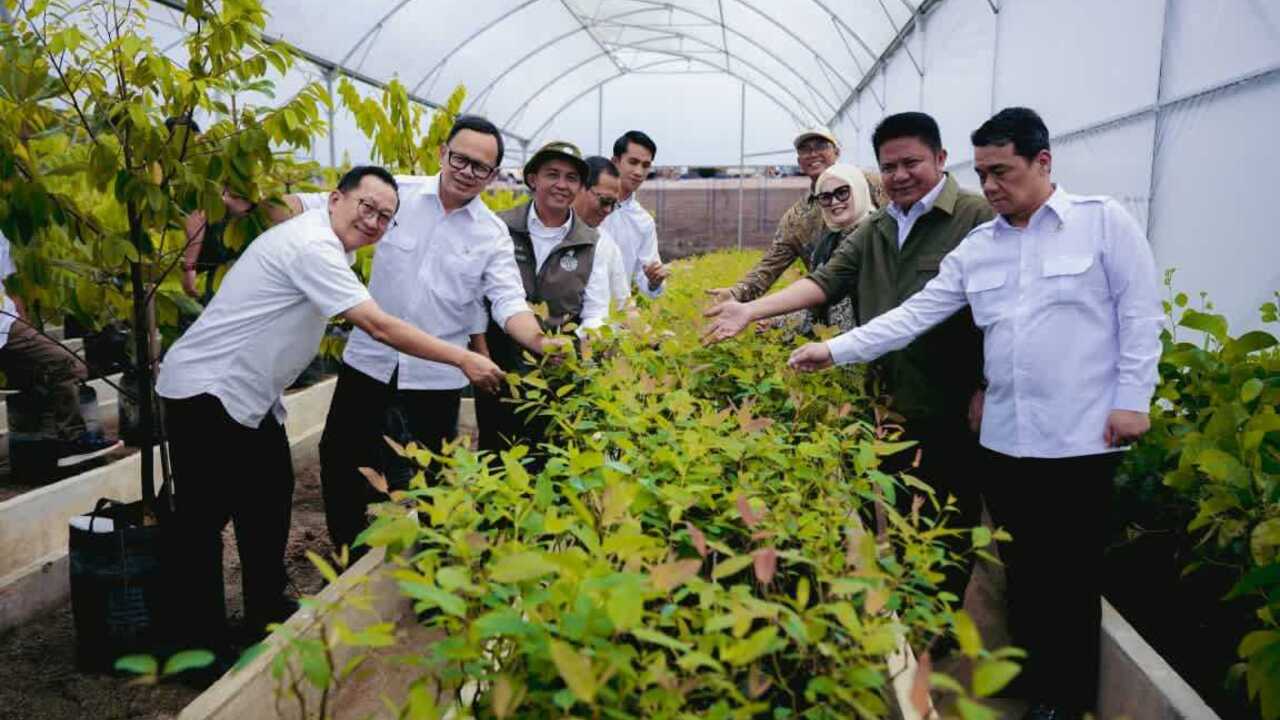 Pusat Persemaian Sriwijaya Kemampo Perkuat Jaringan Nasional