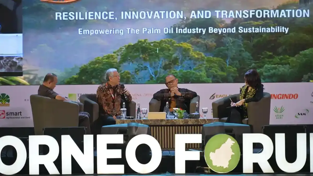 Ketidakpastian Regulasi Sawit Menggerus Nafsu Investasi