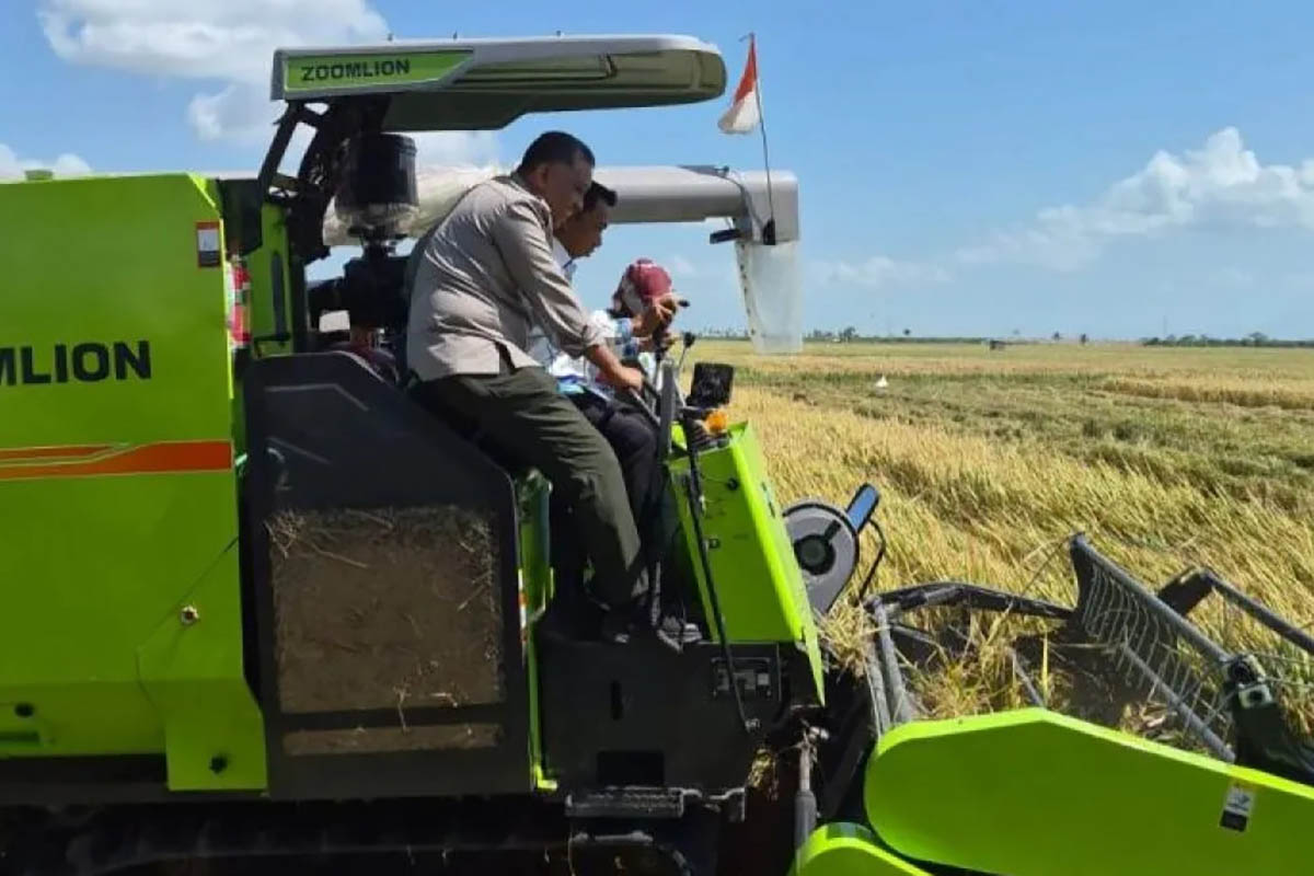 Daerah Baru Jadi Andalan Pangan: Maluku dan Aceh di Garis Depan Swasembada Beras