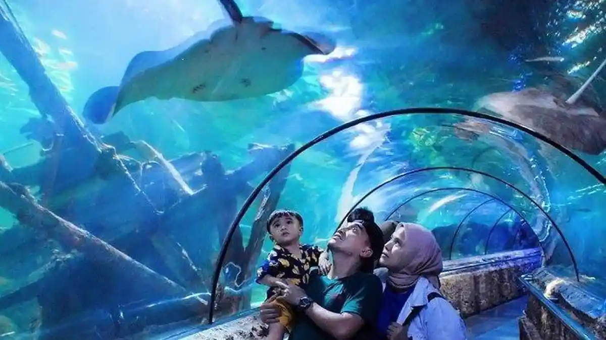 Tiket Wahana Mulai Rp45.000: 3 Promo Taman Hiburan Terbaik Bulan Ini