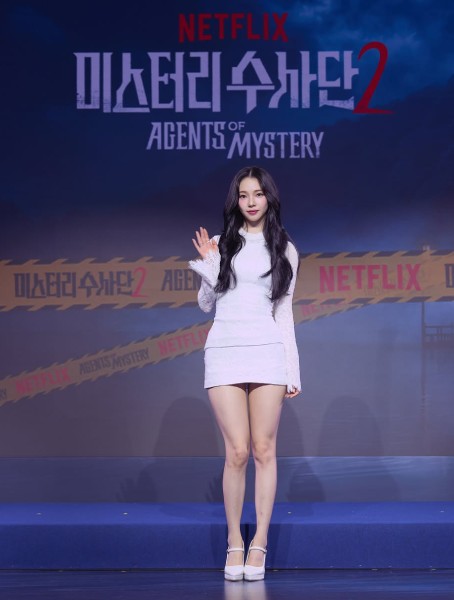 Netflix Season 2 Terbaru: Comeback Agents of Mystery dan Agent Kim Reactivated