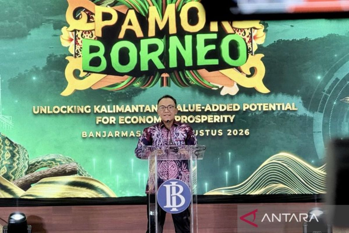 Pamor Borneo Tarik Investasi Rp73 Triliun, Momentum Lompatan Ekonomi Kalimantan