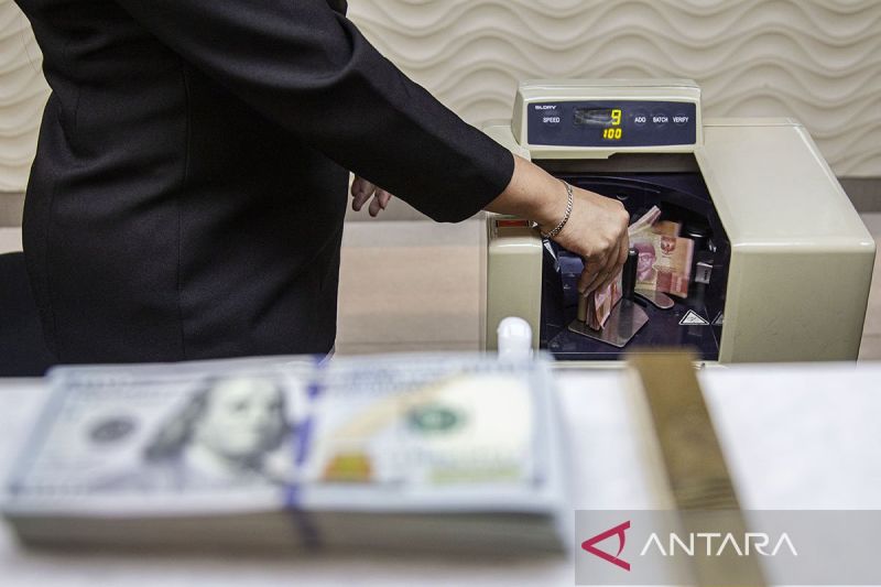 Cadangan Devisa 145,3 Miliar Dolar Jadi Tameng Stabilitas Rupiah