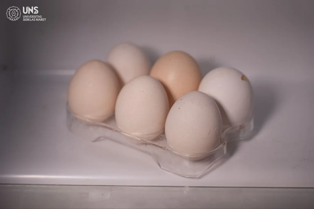 Telur Bebek vs Telur Ayam Kampung: Mana Paling Sehat?