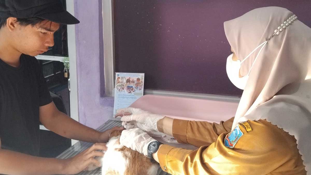 Rabies Tetap Ancaman: Mengapa Anjing dan Kucing Wajib Divaksin Rutin