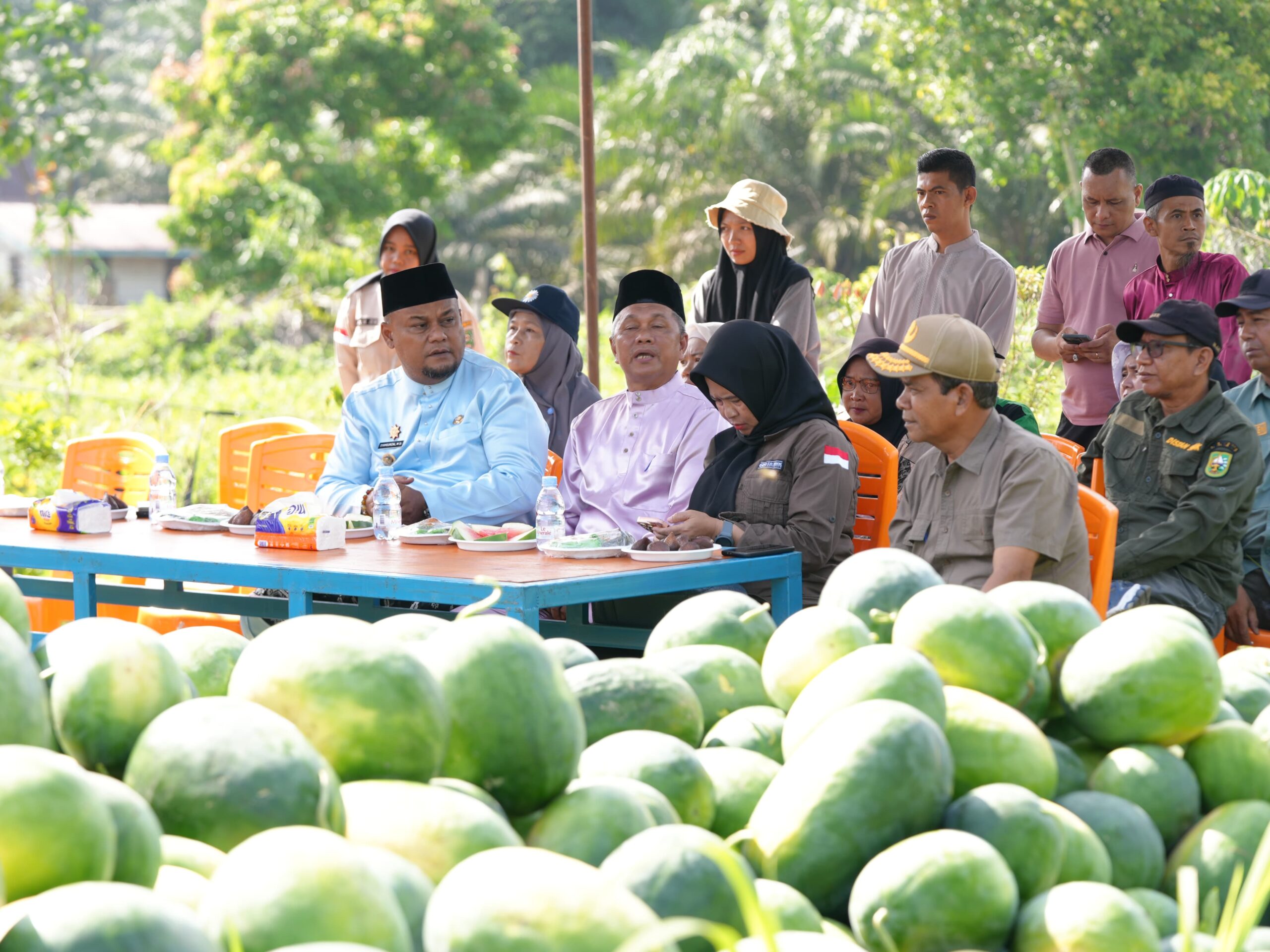 Program Peremajaan Tanaman: Jalan Baru Perkebunan Rakyat Produktif