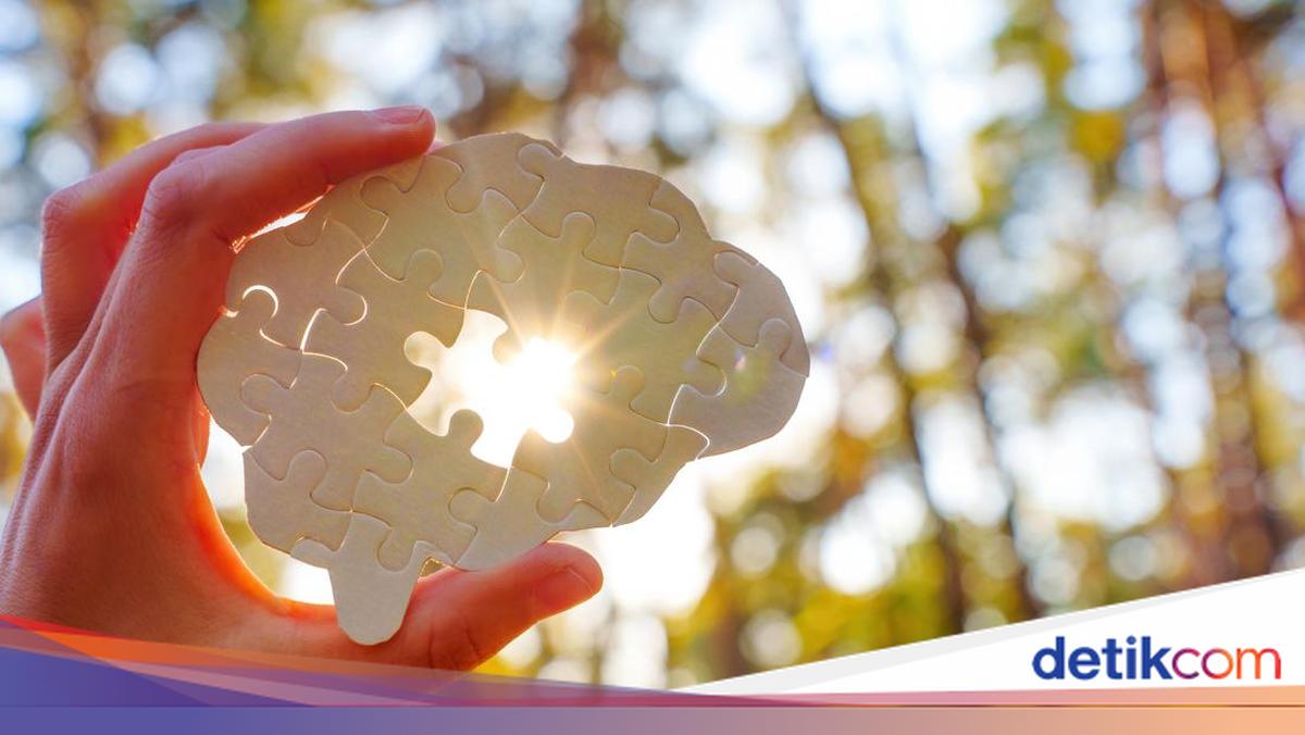 Makanan Fermentasi untuk Kesehatan Usus dan Otak