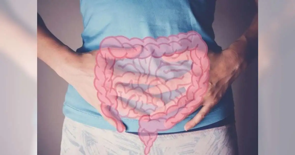 Pola Makan Tinggi Lemak dan Ancaman Kanker Usus