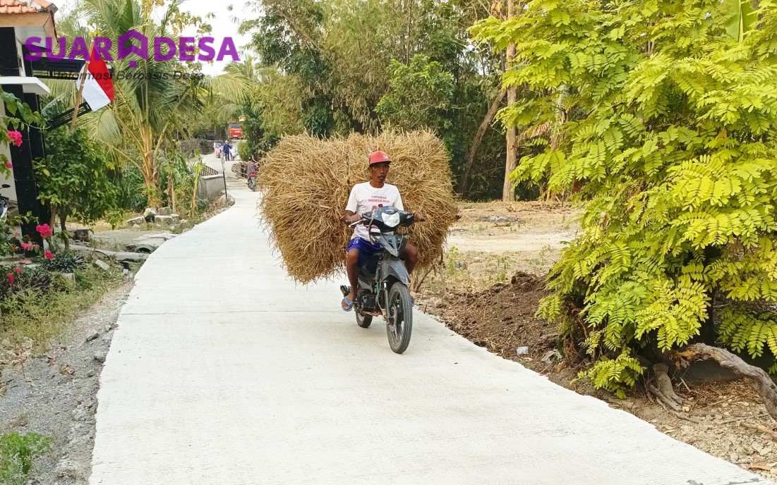 Dari Gotong Royong hingga Akses Pasar: Jalan Desa Beton yang Mengubah Ekonomi Petani