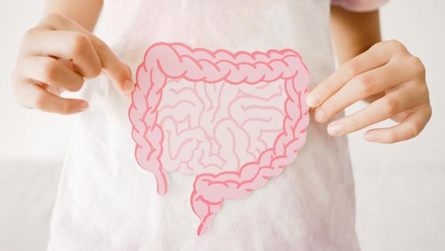 Sinbiotik untuk Anak: Panduan Memilih Produk yang Benar-Benar Terbukti