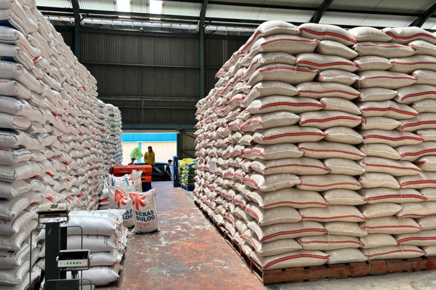 Produksi Beras Naik Tipis di Tengah Ancaman Iklim Ekstrem