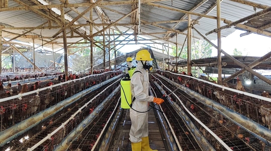 Sistem Pertanian Pintar Berbasis IoT Mengubah Cara Petani Bekerja