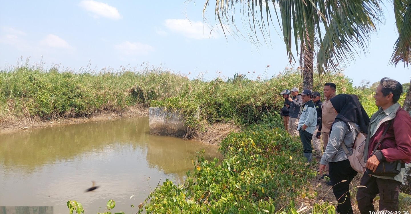 Kekeringan Lahan Pertanian Menggulung Sawah: Alarm Gagal Panen Massal