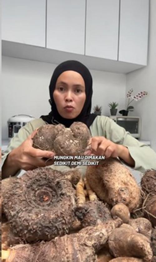 Kimpul: Umbi Lokal Viral yang Ramah Pencernaan dan Gula Darah