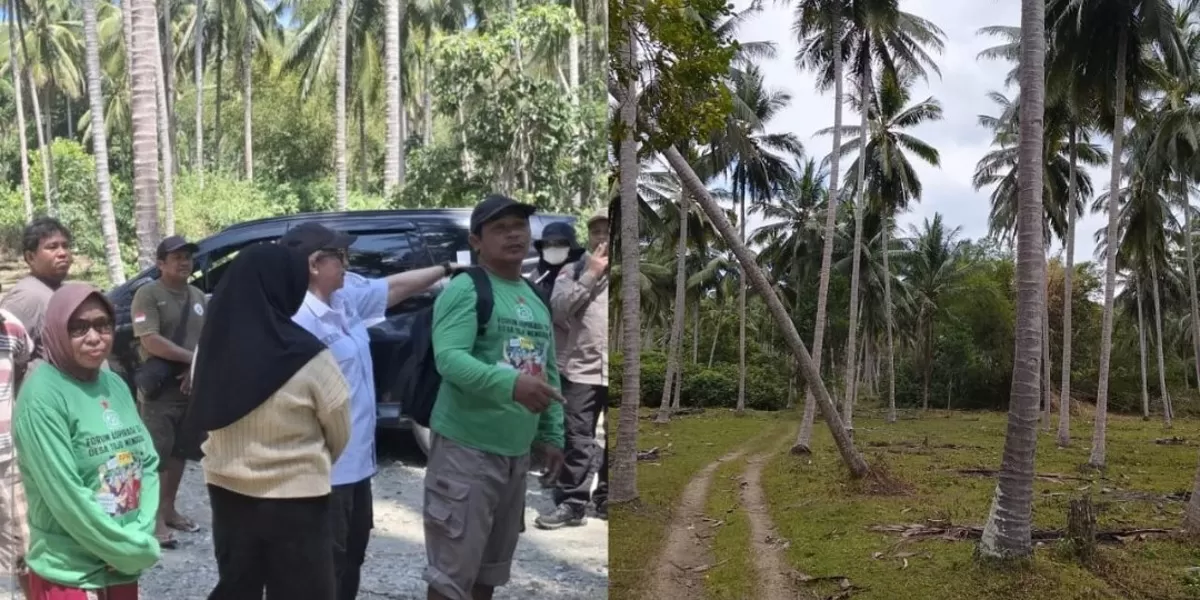 Konflik Lahan Hutan Lindung: Premanisme, Sertifikat Bermasalah, dan Mandeknya Penegakan Hukum