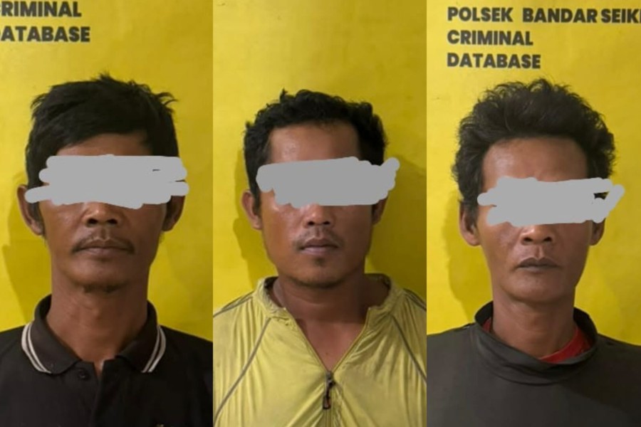 Drone Surveillance Menggagalkan Pencurian Sawit di Perkebunan