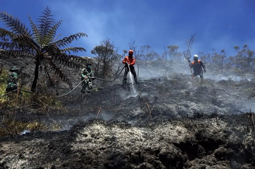 Drone Thermal Imaging: Senjata Baru Deteksi Dini Titik Api Bromo