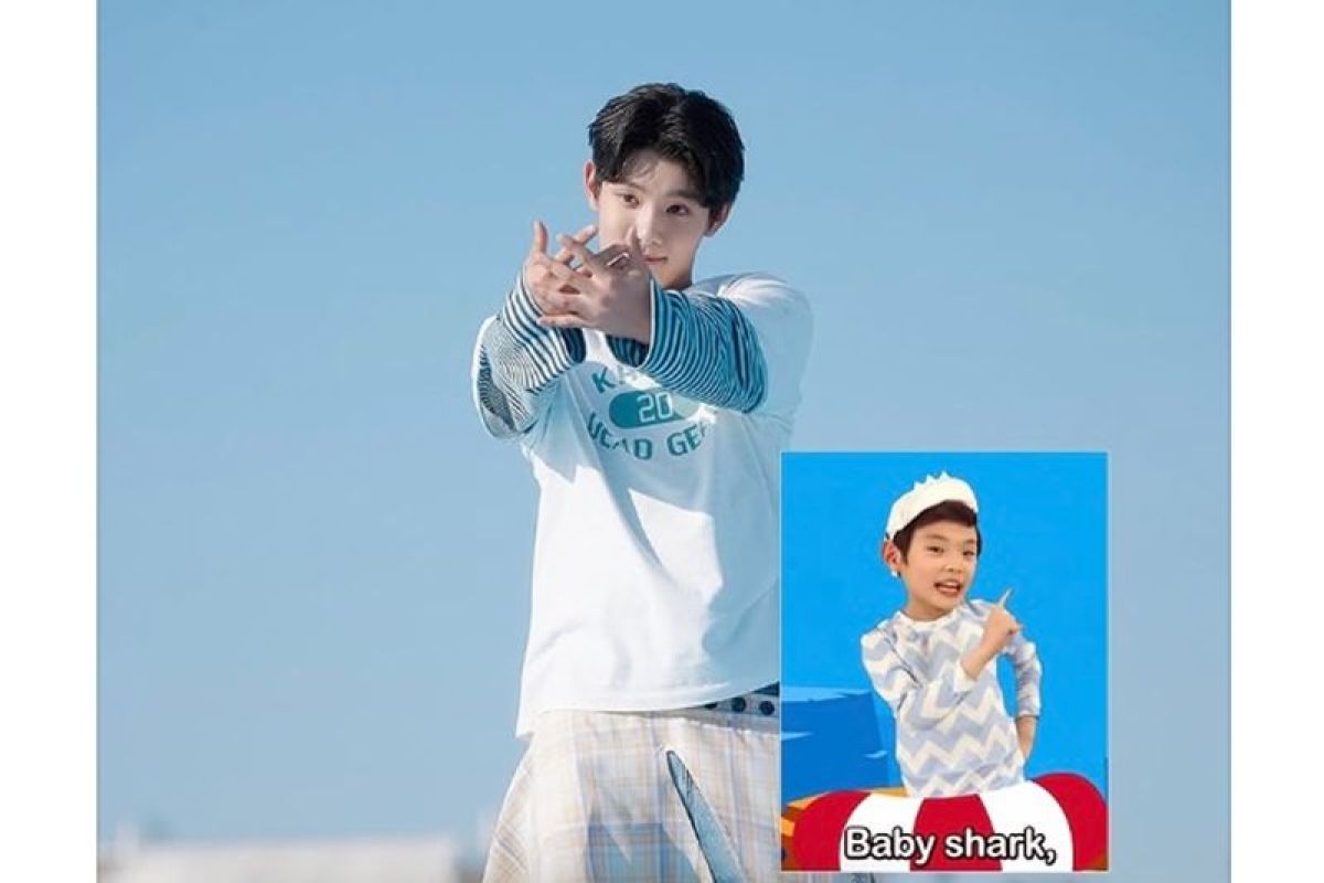 Dari Viral Dance Challenge ke Panggung K-pop: Transformasi Park Geon-roung Sebagai Baby Shark Boy