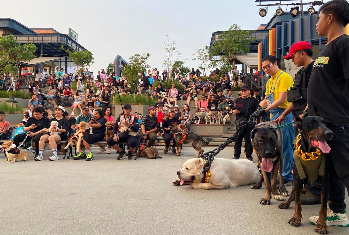 Sunset Pier PIK 2, Magnet Baru Komunitas Pecinta Anjing