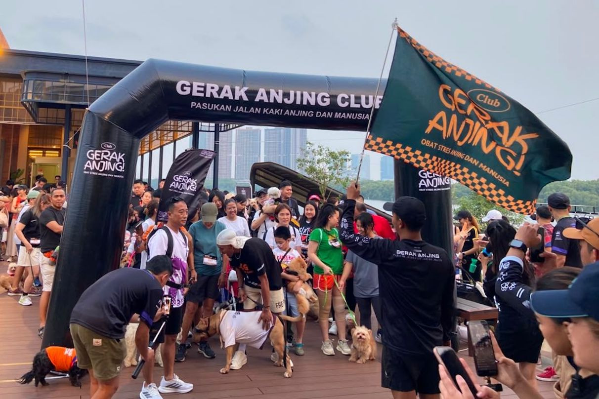 Sunset Pier PIK 2, Magnet Baru Komunitas Pecinta Anjing