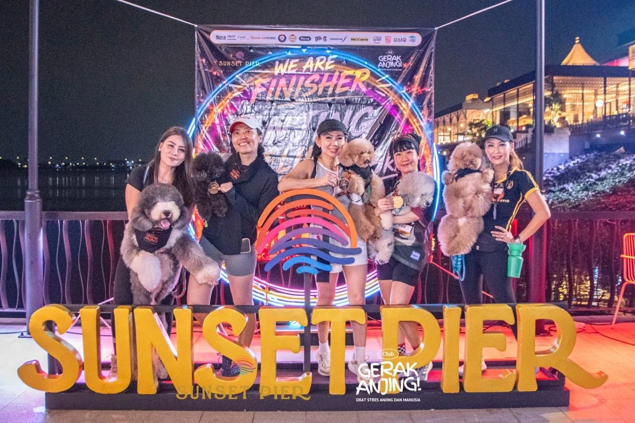 Sunset Pier PIK 2, Magnet Baru Komunitas Pecinta Anjing