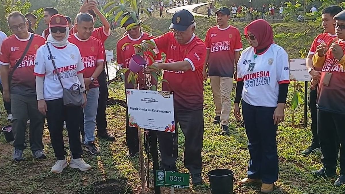 Lima Juta Pohon untuk Borneo: Ambisi Hijau IKN