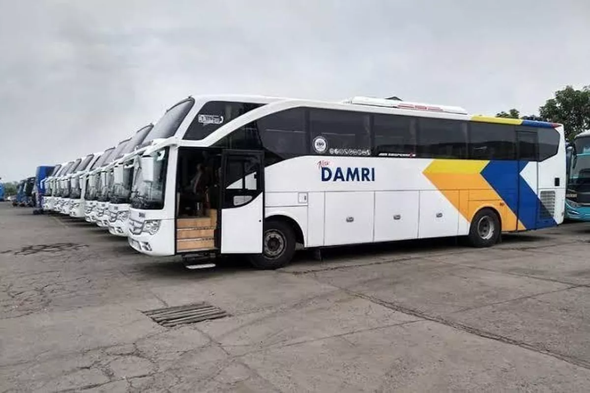 Diskon DAMRI 45 Persen Khusus Ulang Tahun: Cara Klaim Hingga Rp81.000