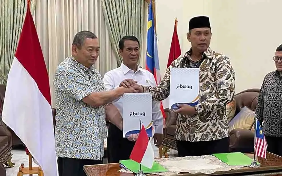 Dari Swasembada hingga Ekspor: Lompatan Strategis Beras Premium ke Pasar Regional