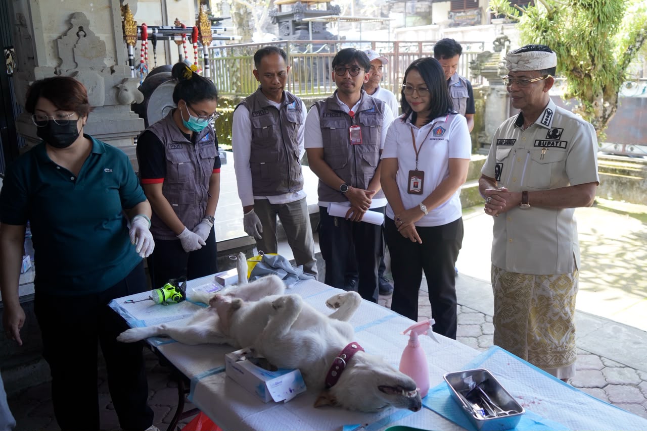 Vaksin Rabies Hewan Peliharaan Sulit Didapat: Apa yang Harus Dilakukan Pemilik Anjing dan Kucing
