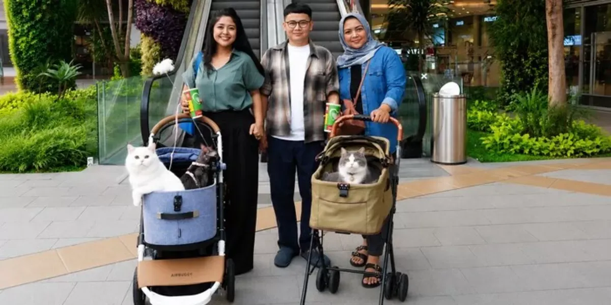 Grand Galaxy Park dan Lahirnya Mall Ramah Kucing di Kota Besar