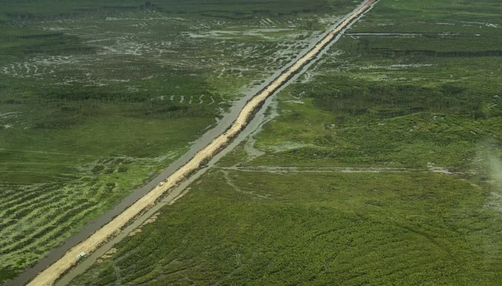 Proyek Jalan Papua Digugat: Cacat Prosedural dan Ancaman Lingkungan
