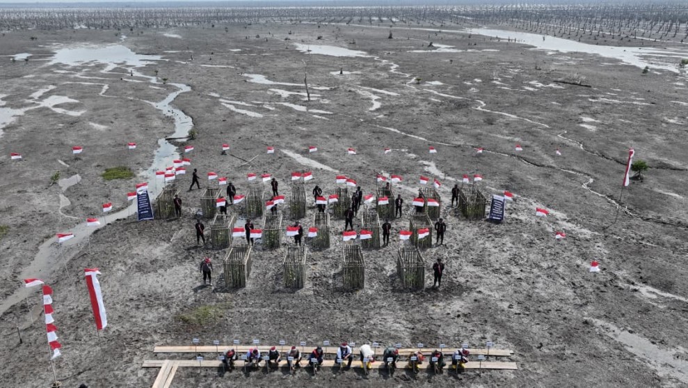 500 Hektare Mangrove: Benteng Terakhir Pesisir Riau dari Abrasi