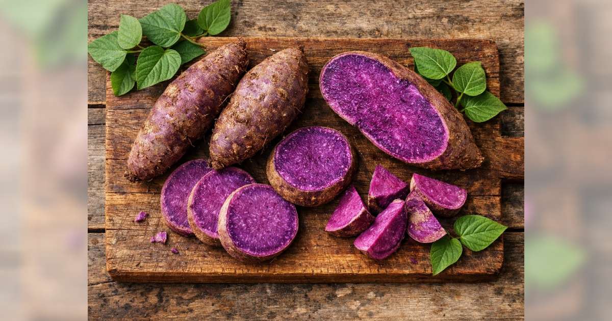 Ube, Ubi Ungu, dan Umbi Garut: Mana Paling Menguntungkan untuk Kesehatan?