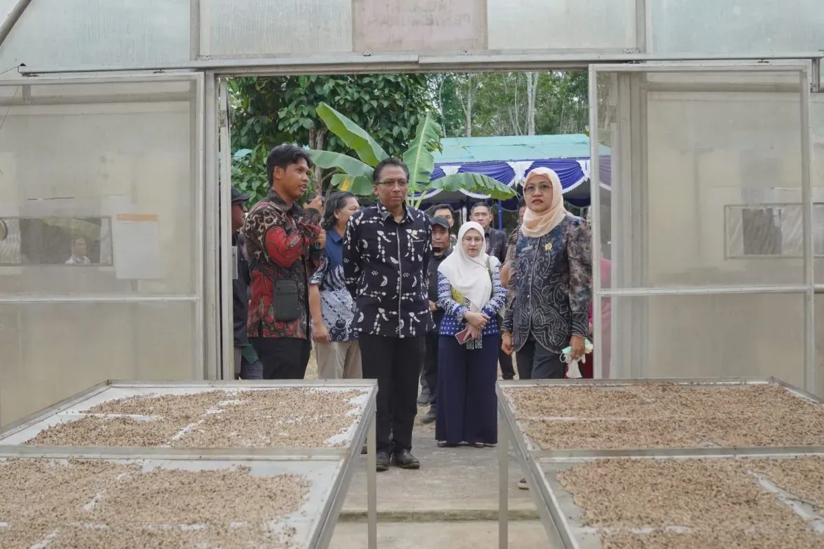 Program Pembinaan dan Ekspor UMKM: Saatnya Naik Kelas