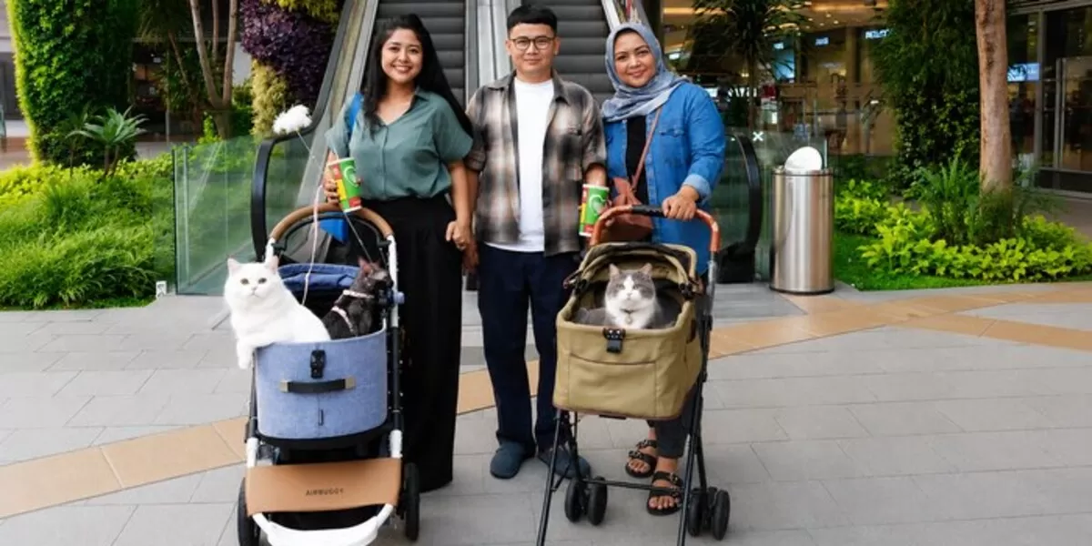 Belanja dan Main Bareng Kucing di Mall Ramah Anabul
