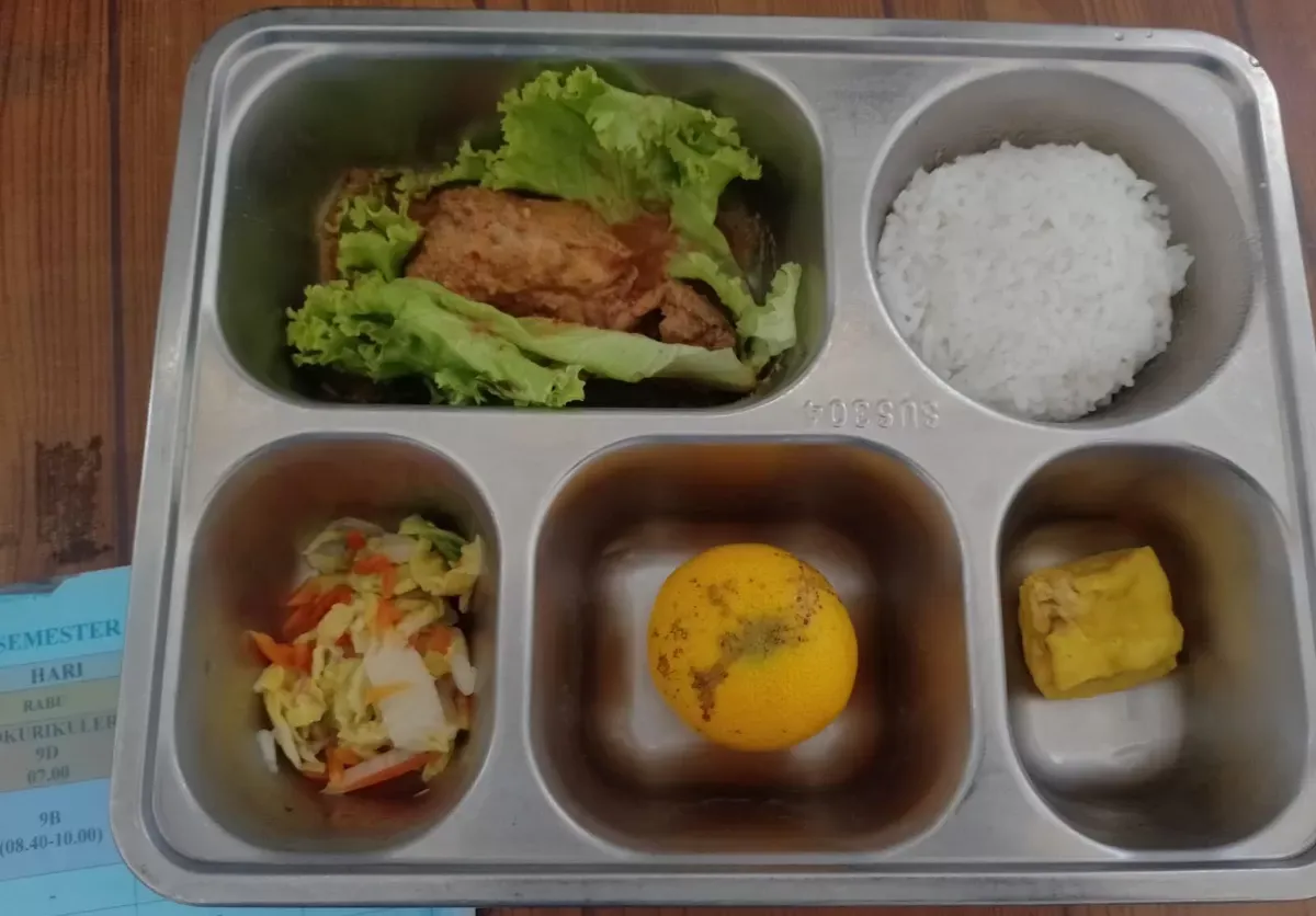 Cara Dinas Kesehatan Memantau Standar Gizi Program Makan Bergizi Gratis di Sekolah