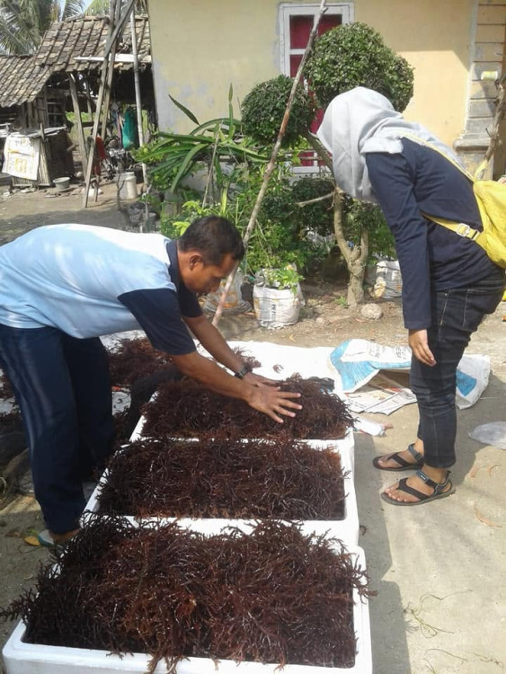 Kesenjangan Pendanaan Blue Economy dan Jalan Keluar dari Desa
