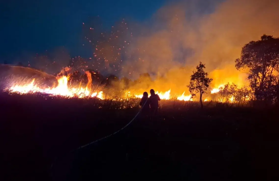 Kebakaran Hutan Melampaui 8.600 Titik Api: Asap Lintas Negara dan Jalan Pengendalian
