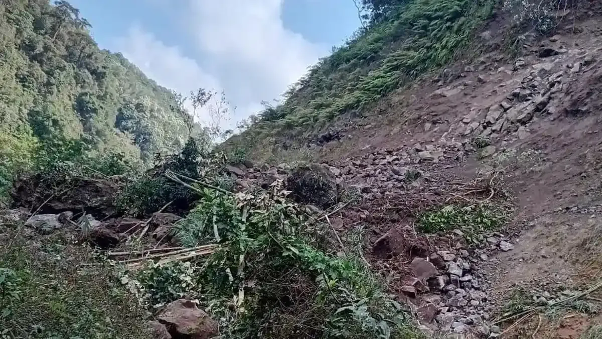 Gempa Flores Memicu Krisis Pangan Lokal: Sawah Borong di Ujung Tanduk