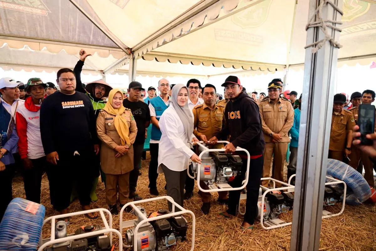 Pemerintah Kerahkan Alat Berat dan Pompa Air Redam Krisis Kekeringan Sawah