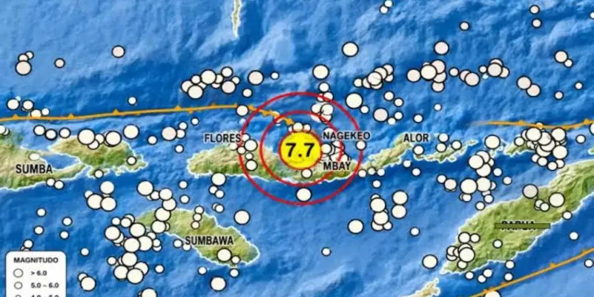 Ribuan Gempa Susulan Guncang Flores: Sampai Kapan?