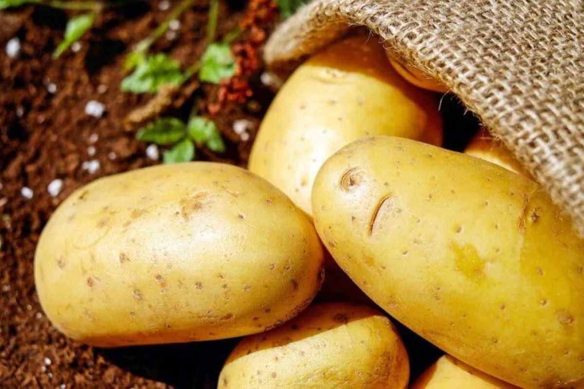 Dari Minuman Pagi hingga Kentang: Cara Alami Bikin Kulit Sehat Setiap Hari