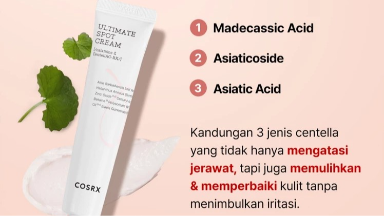 5 Acne Spot Treatment Korea yang Mengeringkan Jerawat Cepat