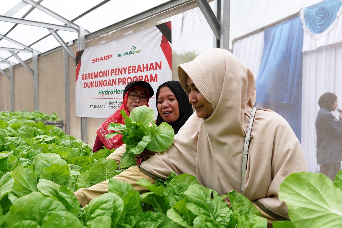 Program CSR Hidroponik Menggerakkan Generasi Muda Perkotaan